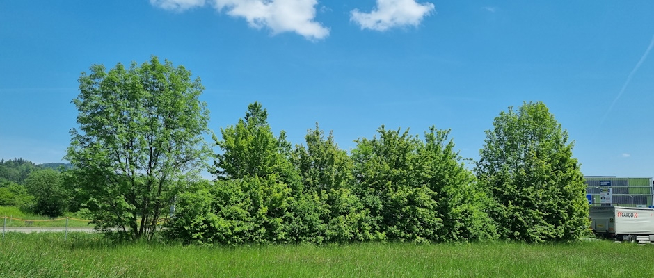 Gesch&uuml;tzte Geh&ouml;lzgruppe
